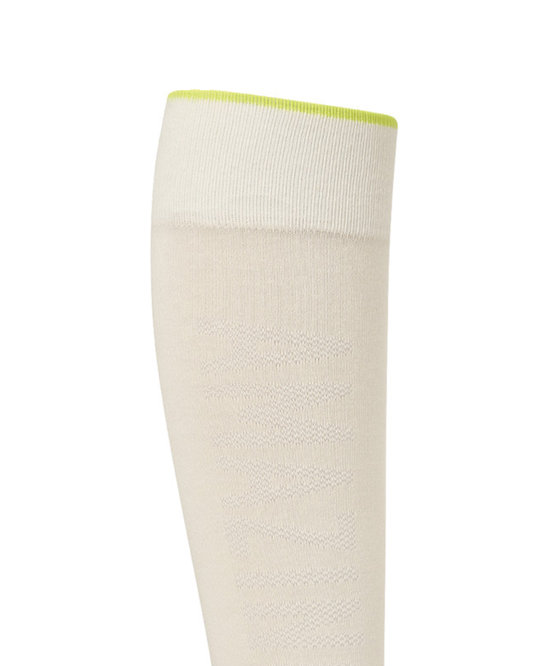 Amazing Cre Mesh Knee Socks - 5 Colors