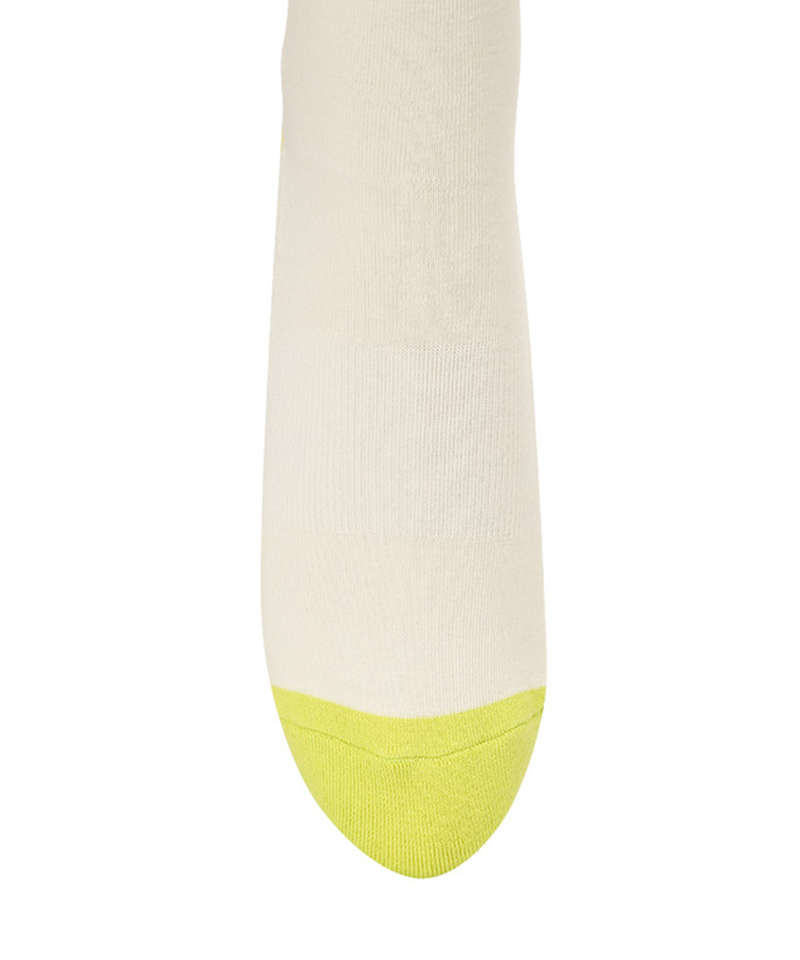 Amazing Cre Mesh Knee Socks - 5 Colors