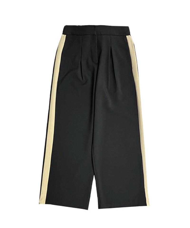 BENECIA 12 Line Wide Pants - Black