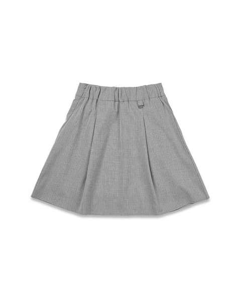 Full Line Stripe Skirt - Gray