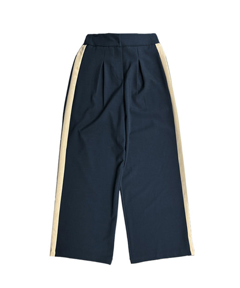 BENECIA 12 Line Wide Pants - Blue