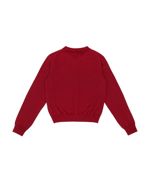 Cotton Cashmere Knit PK Shirt -Wine Red